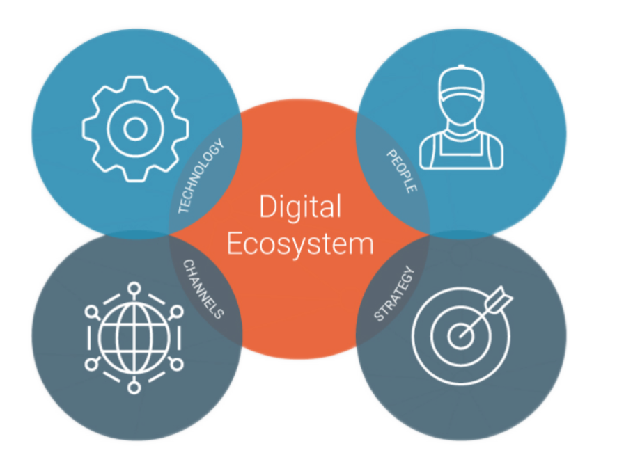 Digital Ecosystem